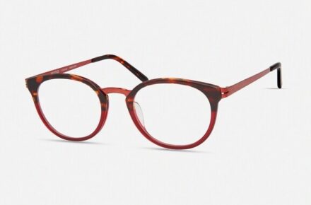 MODO	4509	BURGUNDY TORTOISE