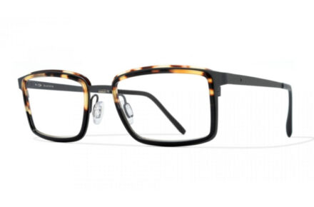 BLACKFIN   DUNKIRK GRAY/HAVANA-BLACK ACETATE 1083